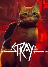 Stray